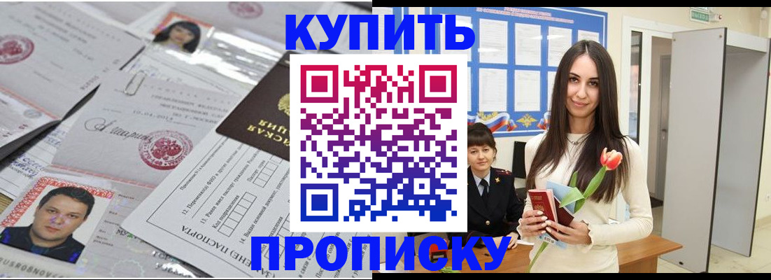 пропишу в квартире в Светлогорске